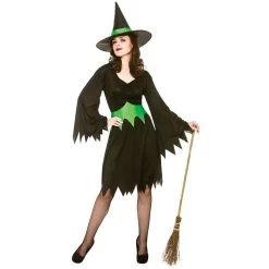 Wicked Witch Womens Fancy Dress Halloween Party Costume