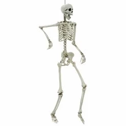 Life Size Poseable Skeleton Halloween Decoration Party Prop 152cm -Halloween Store XS7424 2 opt