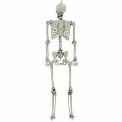 Life Size Poseable Skeleton Halloween Decoration Party Prop 152cm -Halloween Store XS7424 3 opt