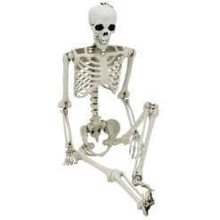 Life Size Poseable Skeleton Halloween Decoration Party Prop 152cm -Halloween Store XS7424 4 opt