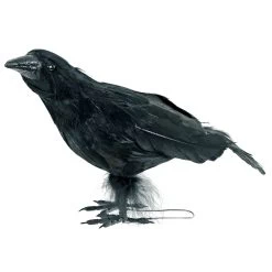 Black Crow Halloween Decoration Bird Realistic Feathers Raven 25cm -Halloween Store XS7435 2 opt