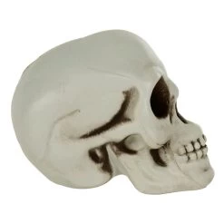 Pack Of 6 Skulls 10cm Plastic Set Halloween Party Decoration -Halloween Store XS7464 3 opt
