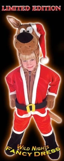 Christmas Fancy Dress Santa Scooby Doo Costume Small Age 3-4 Years
